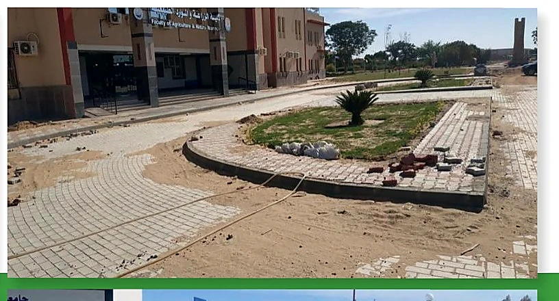 Aswan University Facilities Project - Sahary Area - project photograph