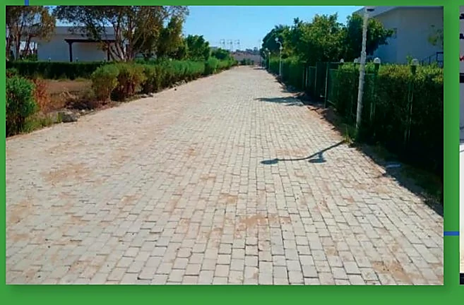 Aswan University Facilities Project - Sahary Area - project photograph